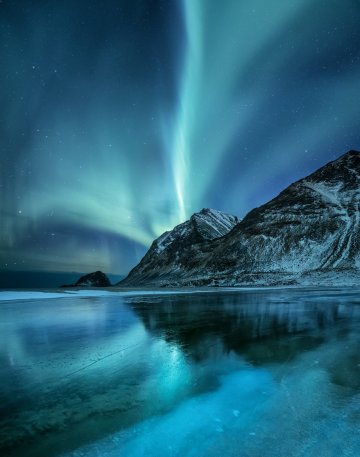 Снимка: iStock