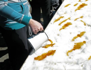 Снимка: Dreamstime