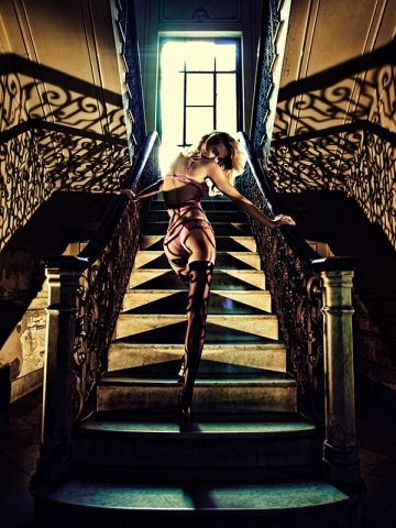 Снимка: Wild Orchid