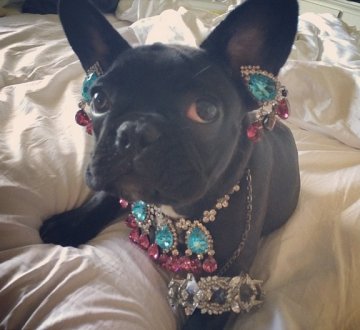 Снимка: Instagram