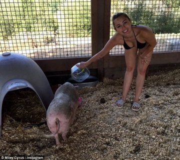 Снимкa:Instagram