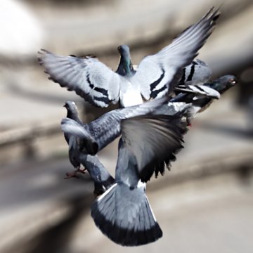 Снимка: Иван Василев