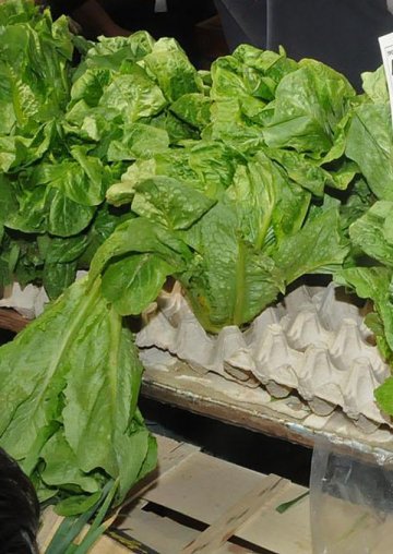 Снимка: Булфото