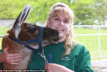 Снимка: Therapy Llamas & Alpacas in Vancouver