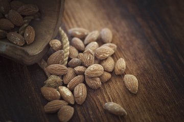 Снимка: Pixabay