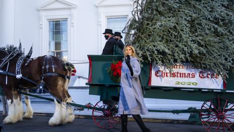 Коледа 2020: Каква елха грее в дома на Марая Кери, Джей Ло и още куп звезди?
