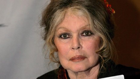 Брижит Бардо вече е у дома, възстановява се след операция