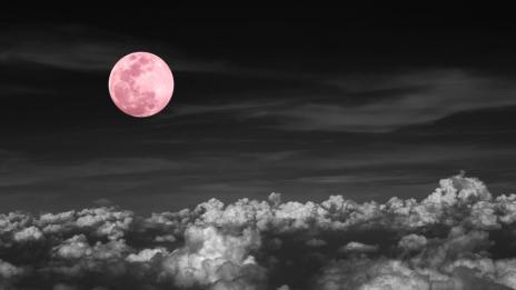 Розова суперлуна: Какво очаква всяка зодия (1 част)