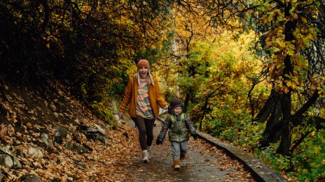 Хороскопът ви за 2 декември