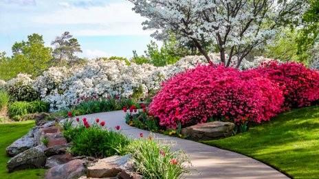 Лятна градина – 7 червени цветя, които да ѝ придадат още повече цвят