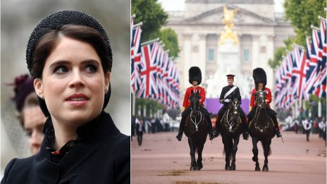 Принцеса Юджийн заведе сина си на първия му парад