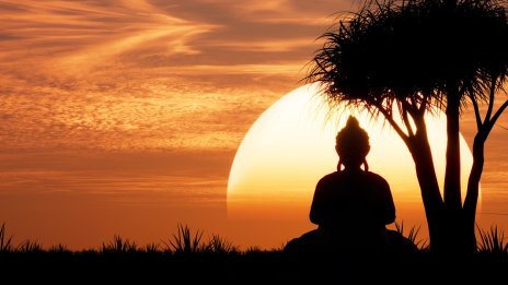 Китайски хороскоп за май 2024 г.: Какво очаква всеки знак?