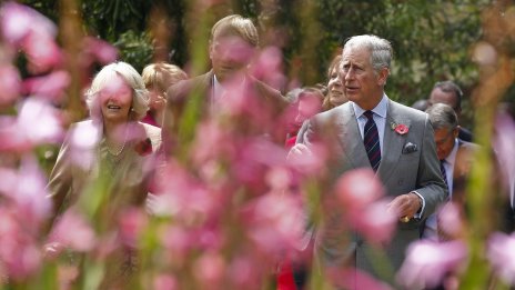 Крал Чарлз с парфюм, вдъхновен от цветята в градината му