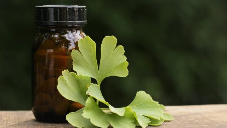 Какви са ползите от приема на Гинко билоба?