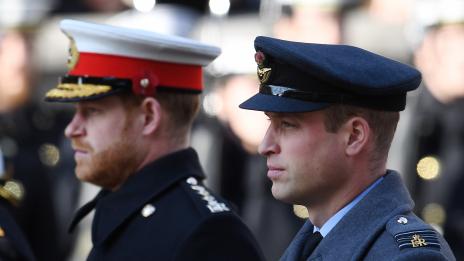 Принц Уилям и принц Хари се обединиха покрай разследването на скандалното интервю на принцеса Даяна