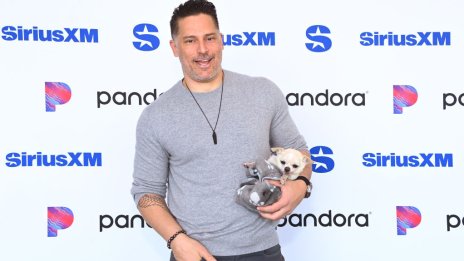 Благородна мисия – Джо Манганиело спасява хиляди домашни любимци