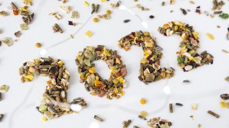 Постбиотици – онова, което да включите в менюто си за 2022 г.