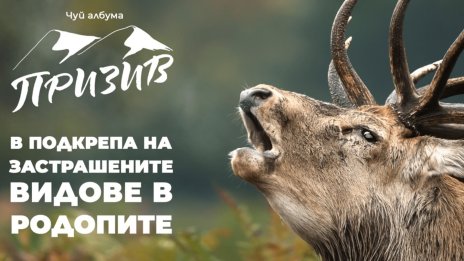 &bdquo;Гласът&ldquo; на Родопите: Животните не могат да говорят, изчезват тихомълком