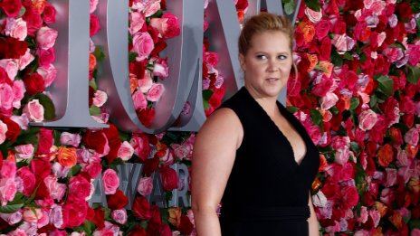 Ейми Шумър говори откровено за своята липосукция и последствията от нея