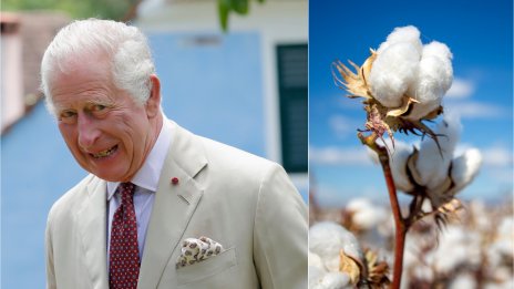 Модерен крал – Чарлз си партнира с Armani 