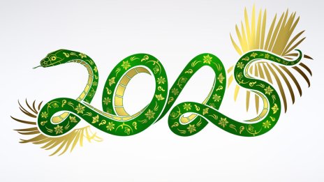 Годината на Дървената змия – какво ще ни донесе