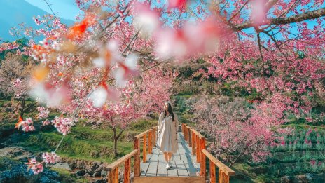 Хороскоп за седмицата – какво ви очаква? 