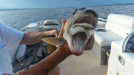 Жена хвана риба с две усти