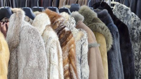 Калифорния забранява кожените изделия