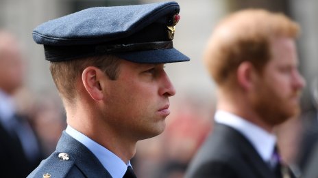 За Коледа: Уилям и Хари няма да си разменят подаръци 