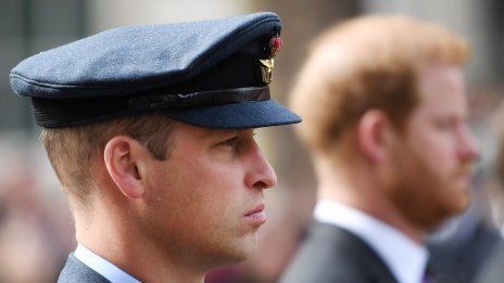 Принц Хари твърди, че принц Уилям го е нападнал физически