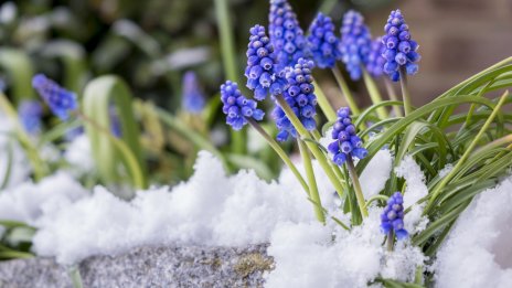 Месечен хороскоп за март 2024 година – какво да очаква всяка зодия