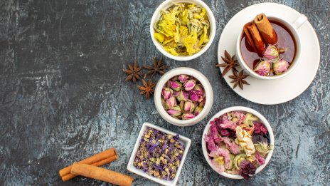 Как да изхвърлим токсините от тялото си?