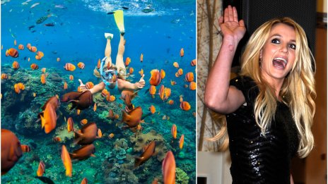 Бритни Спиърс и Сам Асгари на почивка на Хаваи