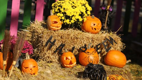 Зли вещици или приказни герои – кои родни звезди се маскираха за Хелоуин? 