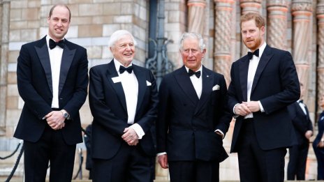 Скандалът продължава: Чарлз отрича да е питал за цвета на кожата на Арчи