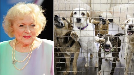 Правят предизвикателство в памет на Бети Уайт