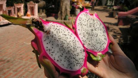 Драконов плод – екзотичният кактус, който да опитате този сезон 