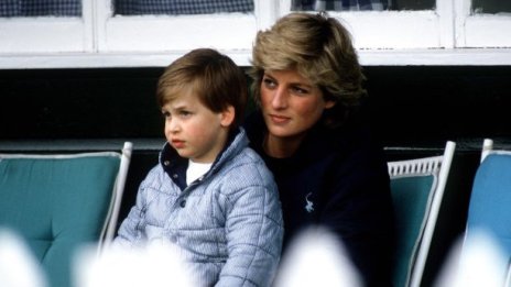 Принц Уилям сподели за какво би се разочаровала Даяна в наши дни 