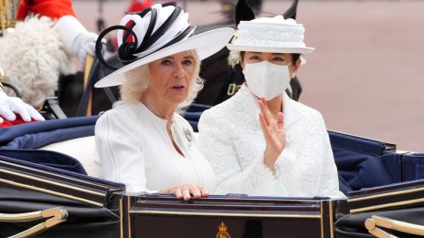 Защо японската императрица носеше маска при срещата с Камила и Чарлз