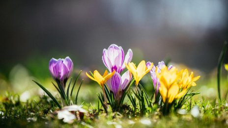 Хороскопът ви за 15 април