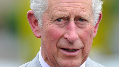 Принцовете Уилям и Хари – уплашени за здравето на баща си