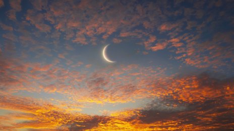 4 зодии претърпяват сериозен растеж след Новолунието в Телец 