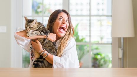 Как се гневят отделните зодии? (1 част)