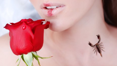 Тъмен, силен, но неустоим: Разберете повече за зодия Скорпион