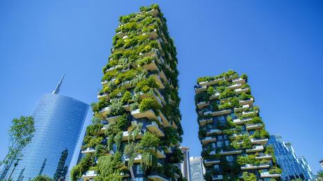 Срещу климатичните промени: Архитекти превръщат градовете в гори