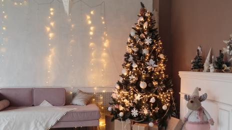 Празници 2020: Защо трябва да поливате елхата си?