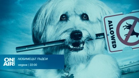 „Любимецът Пъдси“ -  приключенията на четириногия бездомник  премиерно по Bulgaria ON AIR