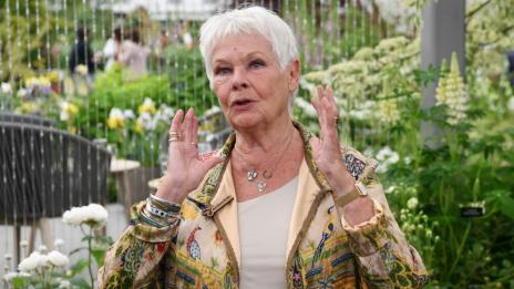 Джуди Денч се запали по TikTok