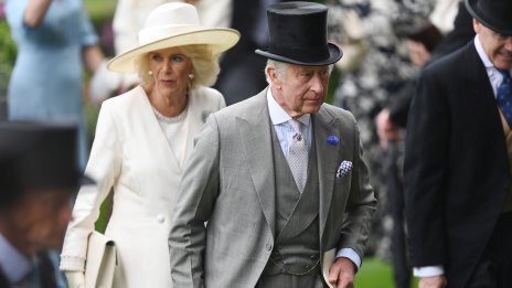 Кралица Камила със стар тоалет за важно събитие