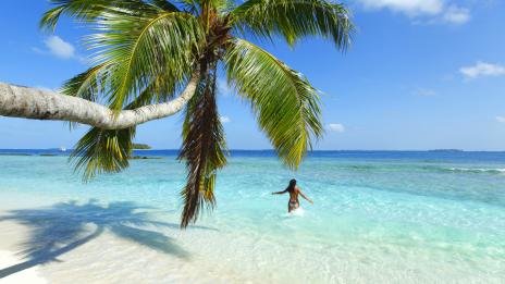 Топсексапил от Малдивите, а в главните роли – Ани Хоанг и Кристина Нгуен  